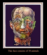 poto this face consists of animals